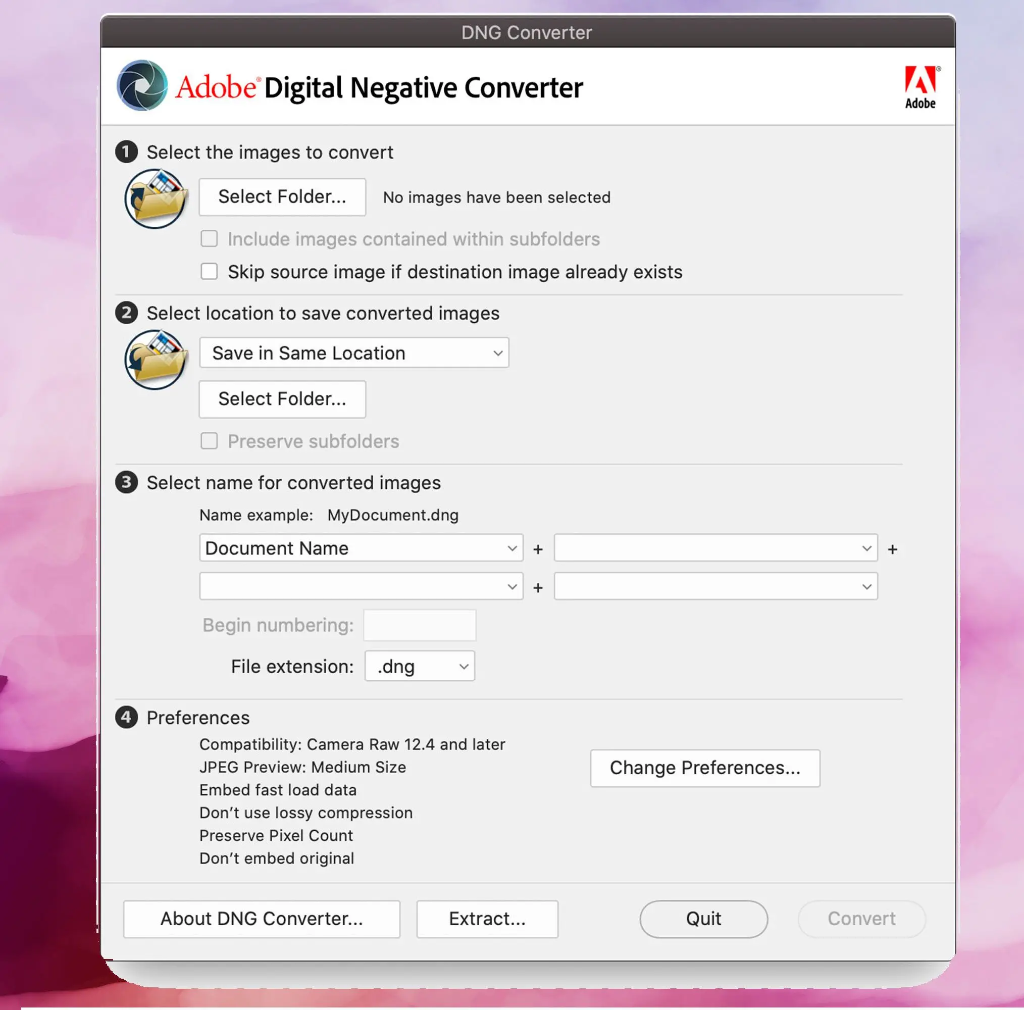 Skärmbild av Adobe DNG Converter, Konvertera DNG-bilder till JPEG..