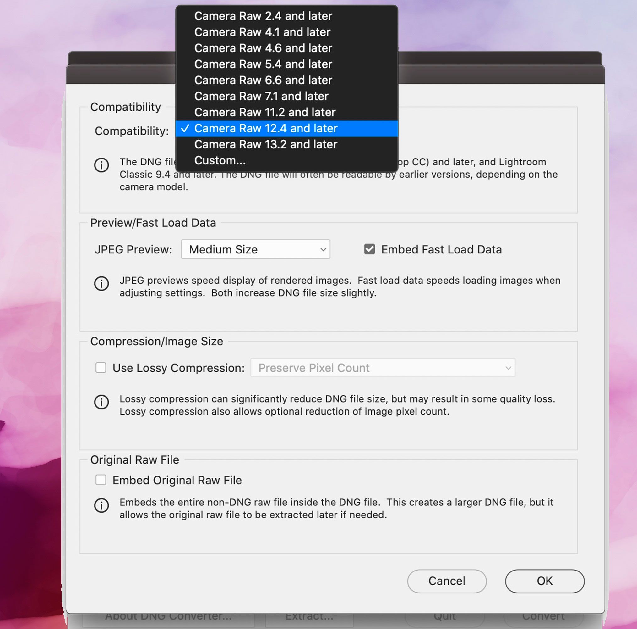 Skärmbild av Adobe DNG Converter, Kompatibilitetsinställningar..