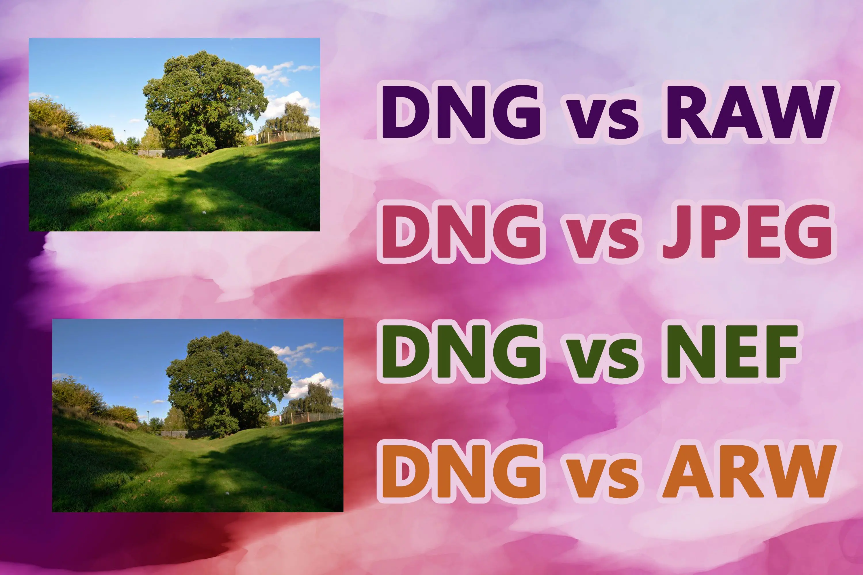 DNG vs RAW-format..