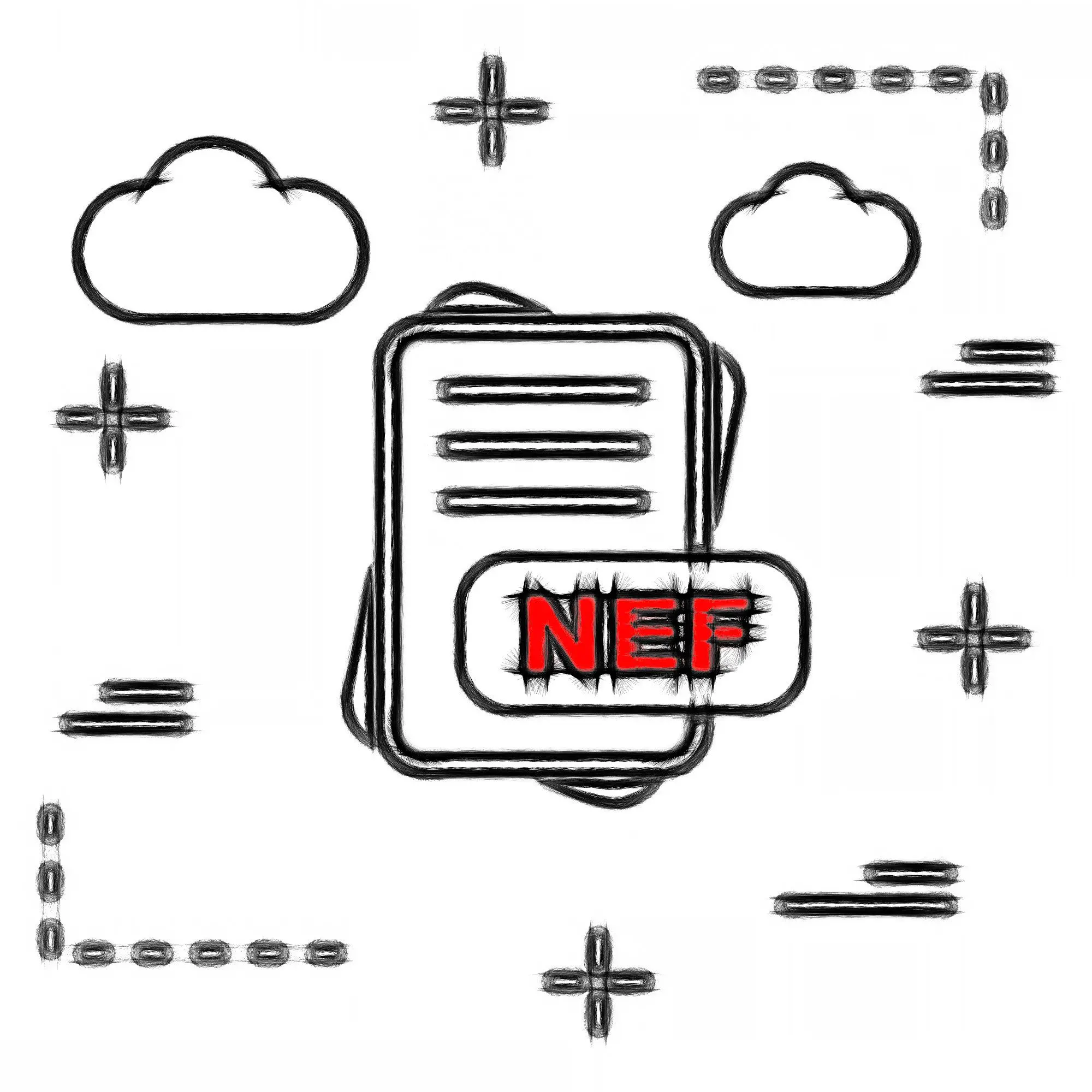 NEF filformat..