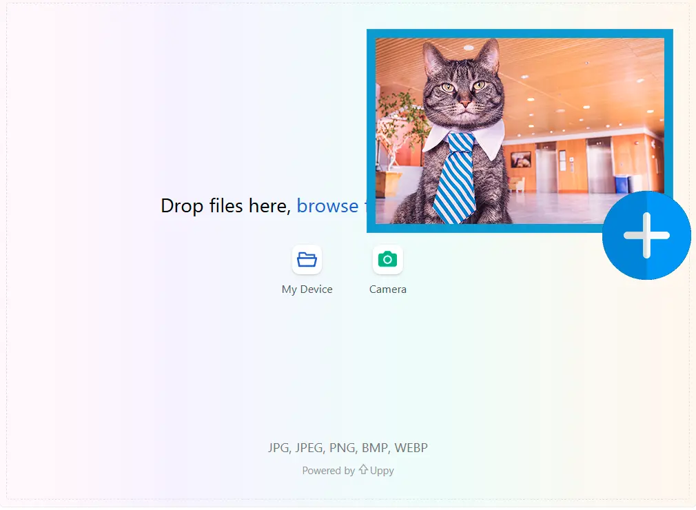 Ladda upp den Första Bildrutan.