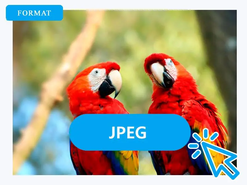 Välj JPG som utdataformat.