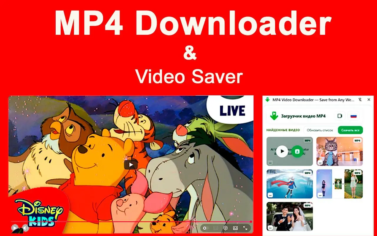 MP4 Downloader & Chrome-tilläggs begränsningar.