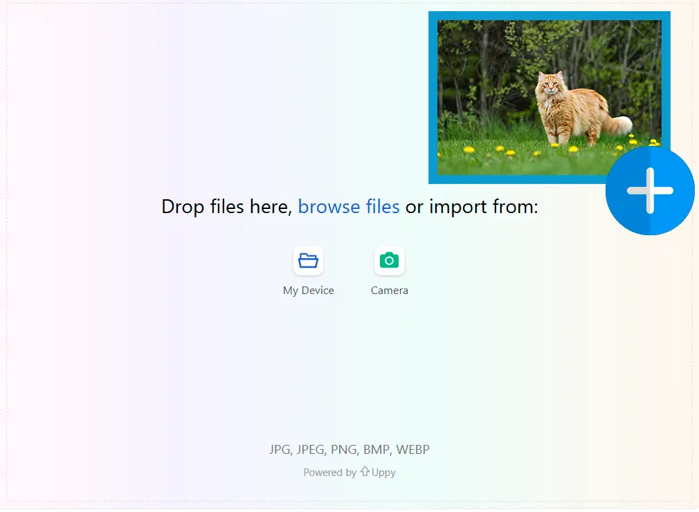Ladda upp en referensbild.