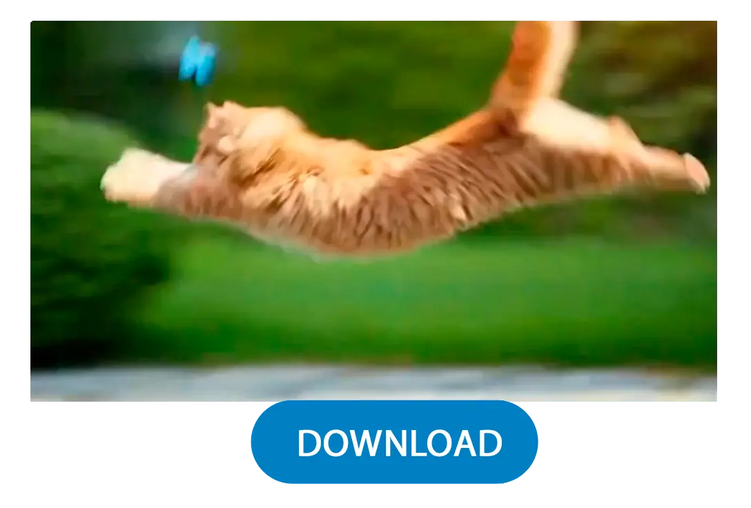 Generera & Ladda ner.