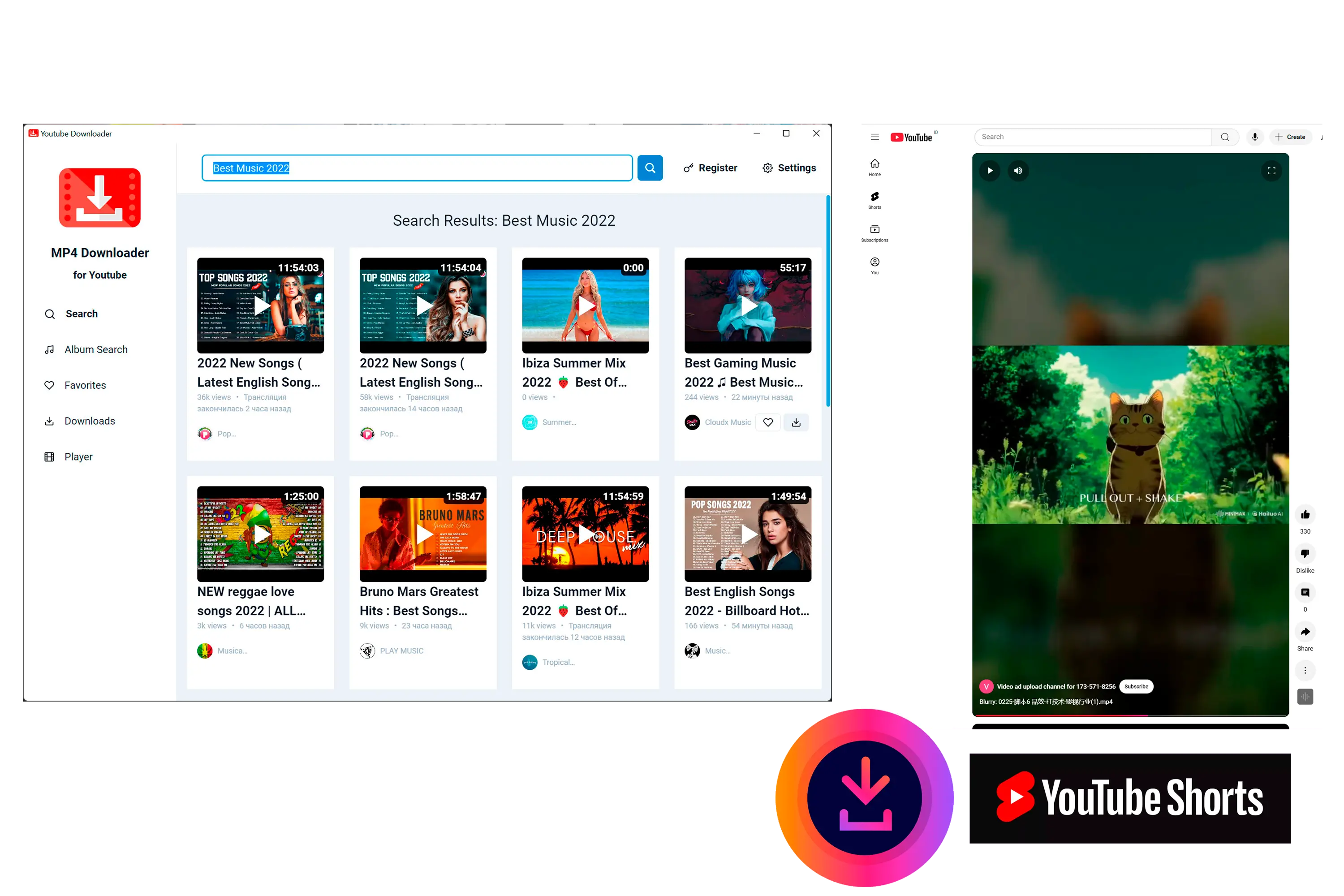MP4 Downloader for Youtube Skärmbild.